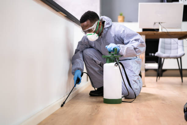 Emergency Pest Control Services in Twin Falls, ID